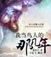我当鸟人的那几年